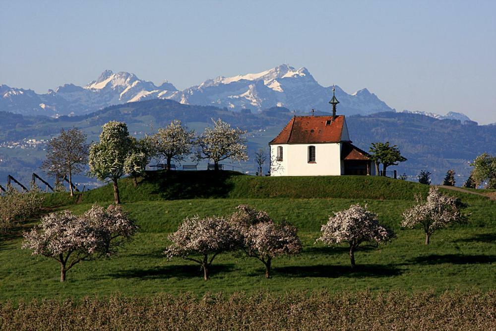 Zum Seglerhafen - Ferienappartement Kressbronn am Bodensee Exterior foto